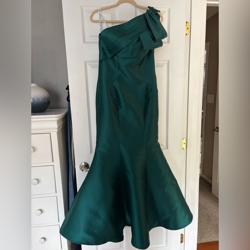 Cameron Blake MOB/MOG/Special Occasion Dress